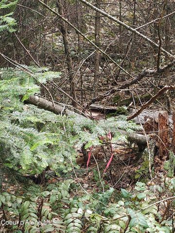 2252 E Badger Rd, Harrison, ID 83833