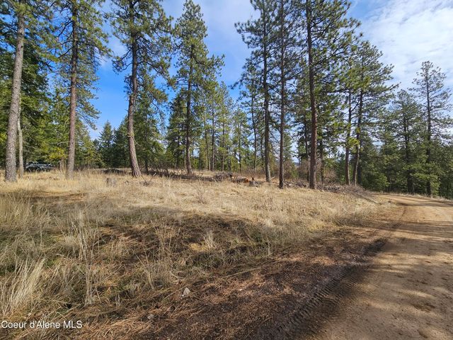 2252 E Badger Rd, Harrison, ID 83833