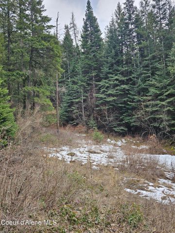 2252 E Badger Rd, Harrison, ID 83833