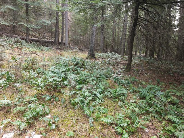 2252 E Badger Rd, Harrison, ID 83833