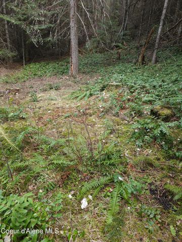 2252 E Badger Rd, Harrison, ID 83833