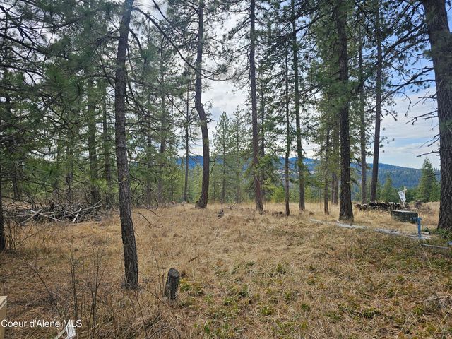 2252 E Badger Rd, Harrison, ID 83833