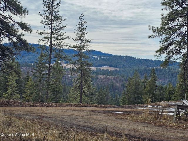 2252 E Badger Rd, Harrison, ID 83833