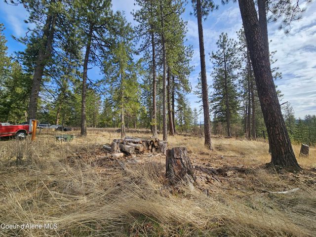 2252 E Badger Rd, Harrison, ID 83833