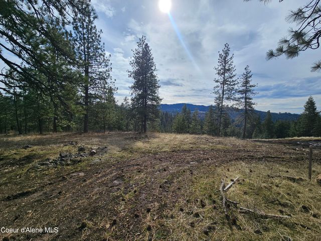 2252 E Badger Rd, Harrison, ID 83833