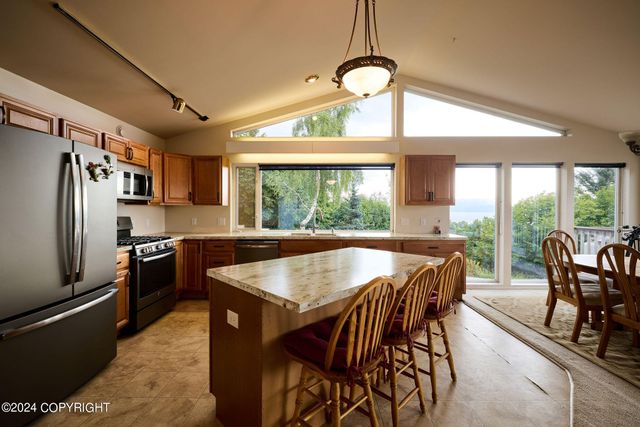 41385 Ptarmigan Heights Drive, Homer, AK 99603