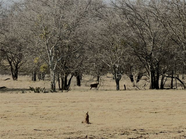 Lot 13 Lakewood Drive, Whitney, TX 76692