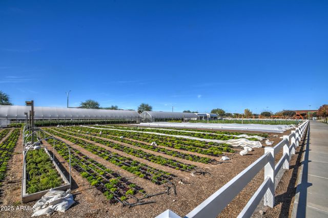 5115 S DASSAULT Way, Mesa, AZ 85212