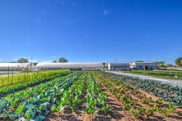 5115 S DASSAULT Way, Mesa, AZ 85212