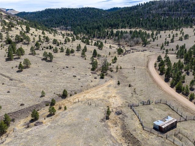 314 S Antelope Trl, Cotopaxi, CO 81223
