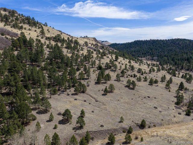 314 S Antelope Trl, Cotopaxi, CO 81223