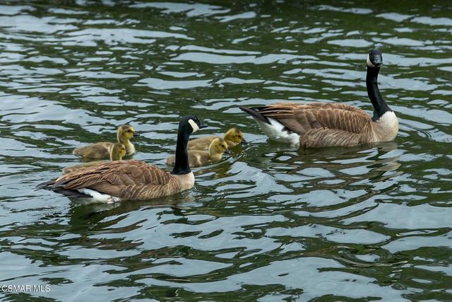 2374 Laguna Circle Road, Agoura Hills, CA 91301