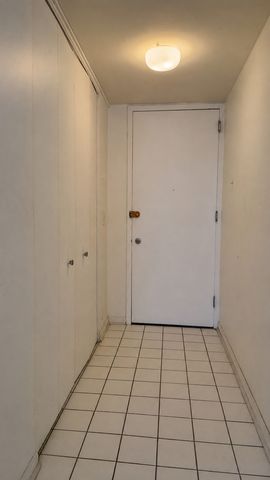 2901 S MICHIGAN Avenue 1704, Chicago, IL 60616