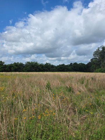 TBD LOT 17 County Road 201, Plantersville, TX 77363