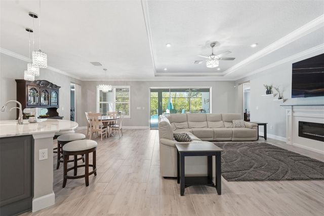33805 CASTAWAY LOOP, Wesley Chapel, FL 33543