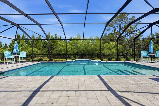 33805 CASTAWAY LOOP, Wesley Chapel, FL 33543