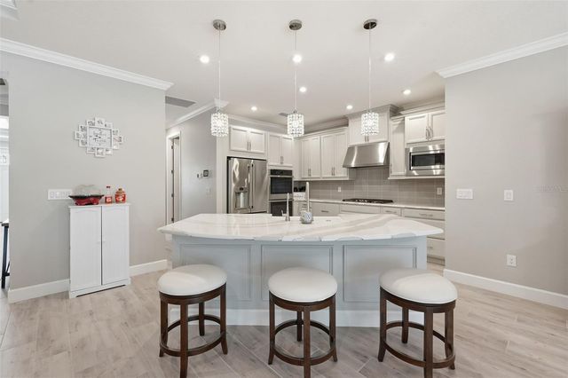 33805 CASTAWAY LOOP, Wesley Chapel, FL 33543