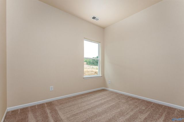 1131 Tanger Glen Trail NW, Harvest, AL 35749
