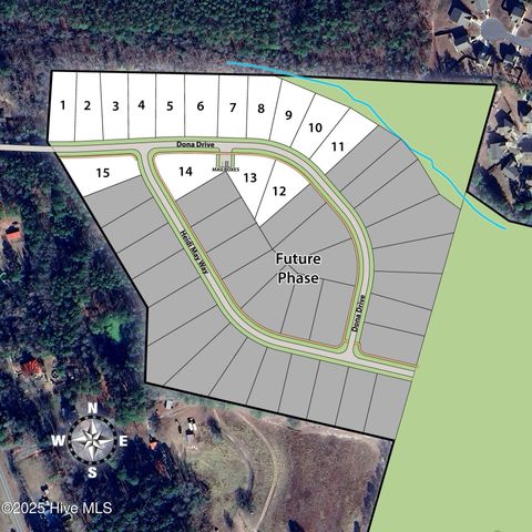 231 Dona Drive, Carthage, NC 28327