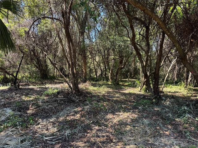 BEAU COURT, Orange City, FL 32763