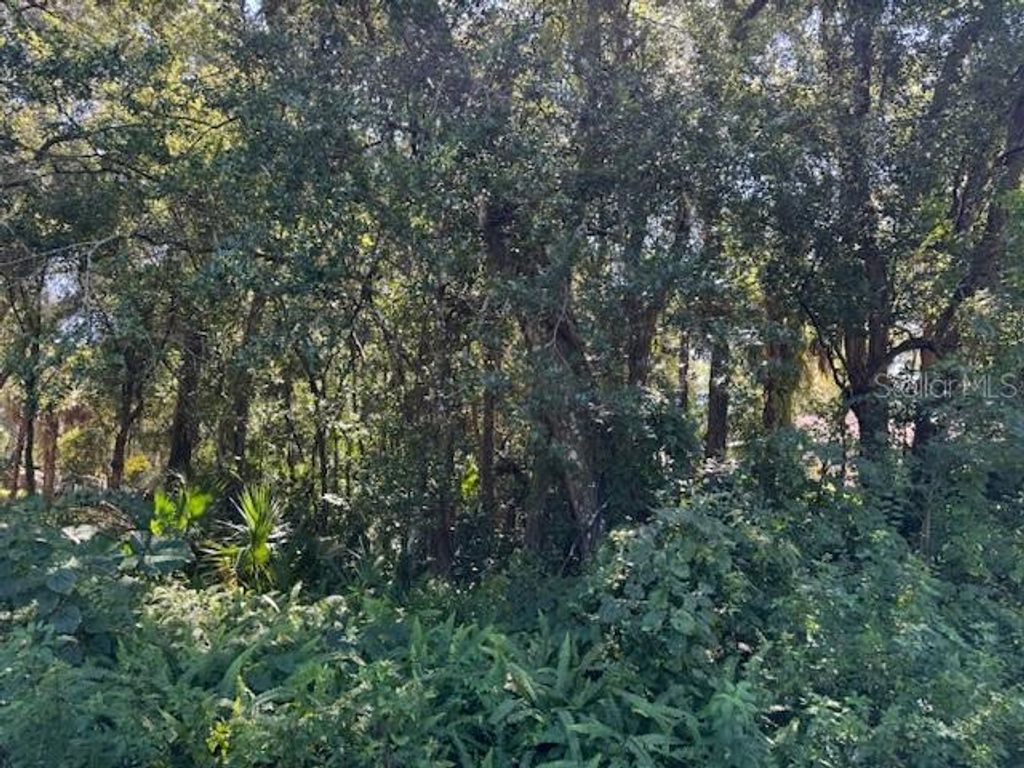 BEAU COURT, Orange City, FL 32763