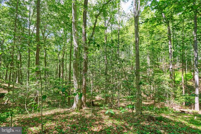 8228 SHADOWRIDGE DR, Fairfax Station, VA 22039