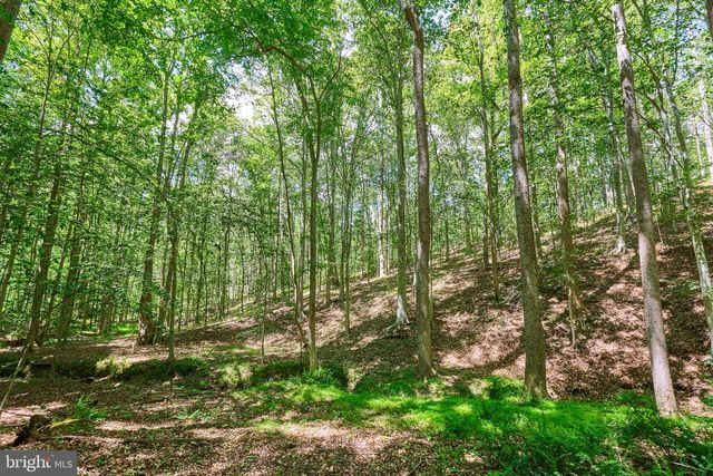 8228 SHADOWRIDGE DR, Fairfax Station, VA 22039