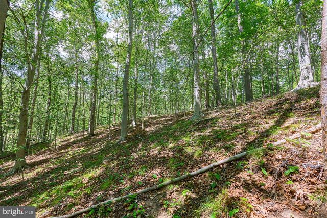 8228 SHADOWRIDGE DR, Fairfax Station, VA 22039