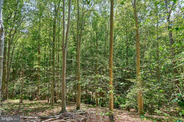 8228 SHADOWRIDGE DR, Fairfax Station, VA 22039
