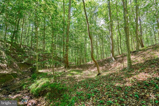 8228 SHADOWRIDGE DR, Fairfax Station, VA 22039