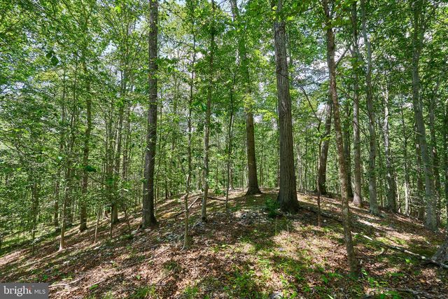8228 SHADOWRIDGE DR, Fairfax Station, VA 22039