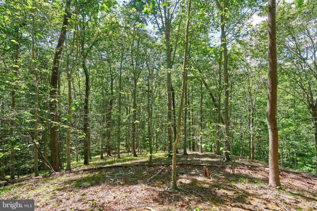8228 SHADOWRIDGE DR, Fairfax Station, VA 22039