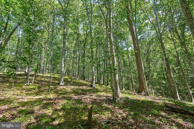8228 SHADOWRIDGE DR, Fairfax Station, VA 22039