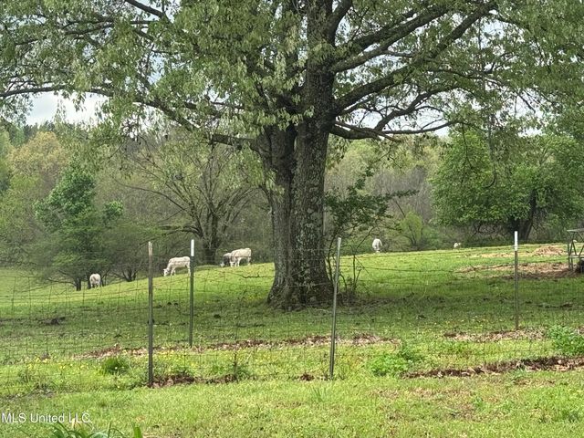 1201 Wheeler Road, Hernando, MS 38632