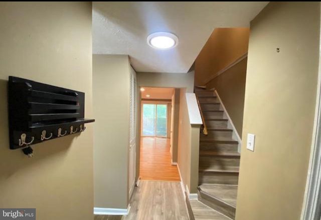 14103 ARMILLA CT, Burtonsville, MD 20866