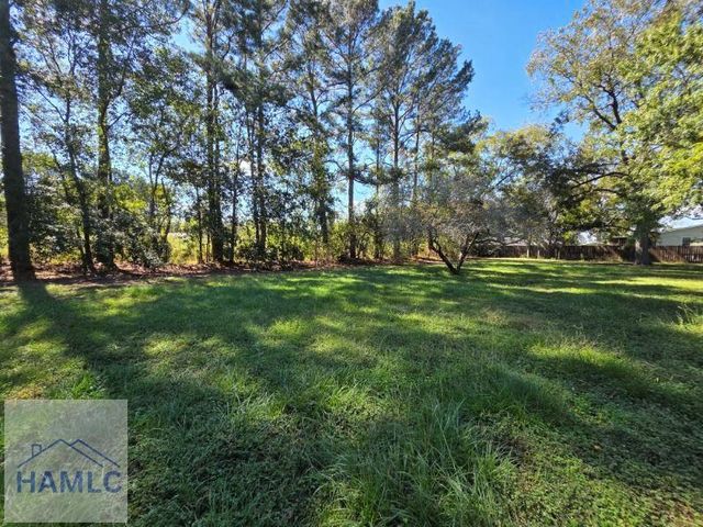 7307 Blocker Road, Glennville, GA 30427