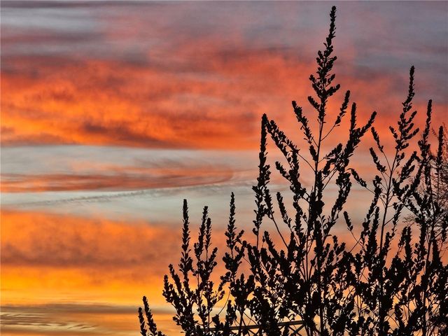 4206 N Cordes Road, Golden Valley, AZ 86413