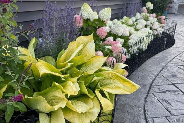 5489 Cooper Ridge, Hamburg, NY 14075