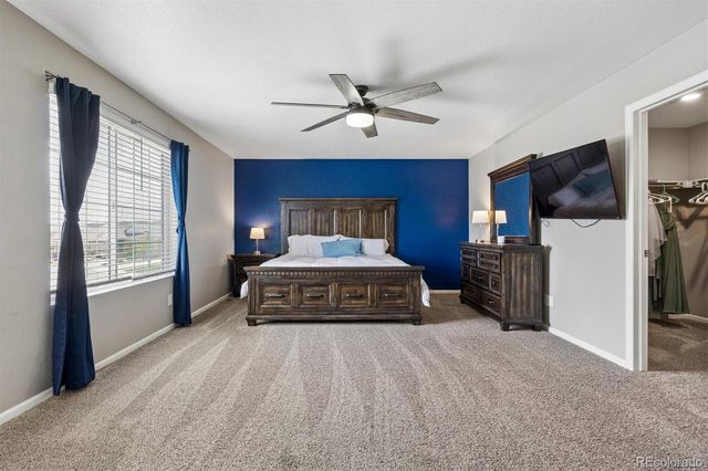 6031 Plains End Court, Castle Rock, CO 80104