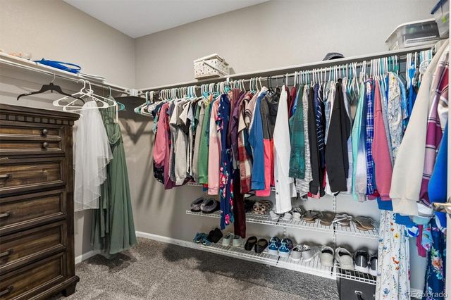 6031 Plains End Court, Castle Rock, CO 80104