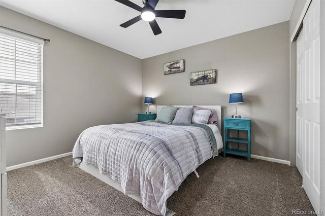 6031 Plains End Court, Castle Rock, CO 80104