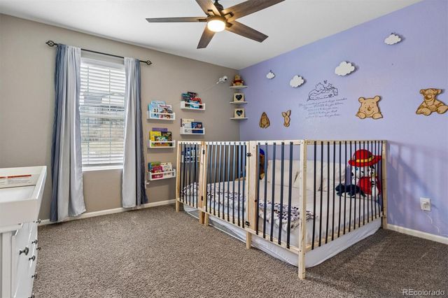 6031 Plains End Court, Castle Rock, CO 80104