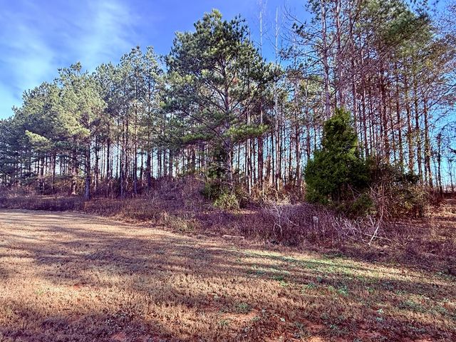 1890 N Co Rd 61, Hartford, AL 36344