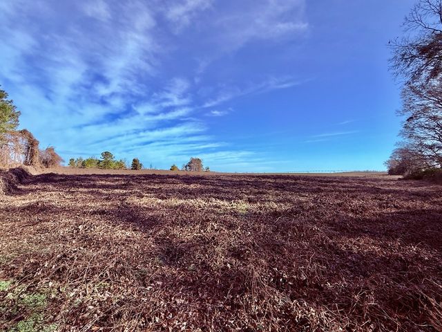 1890 N Co Rd 61, Hartford, AL 36344