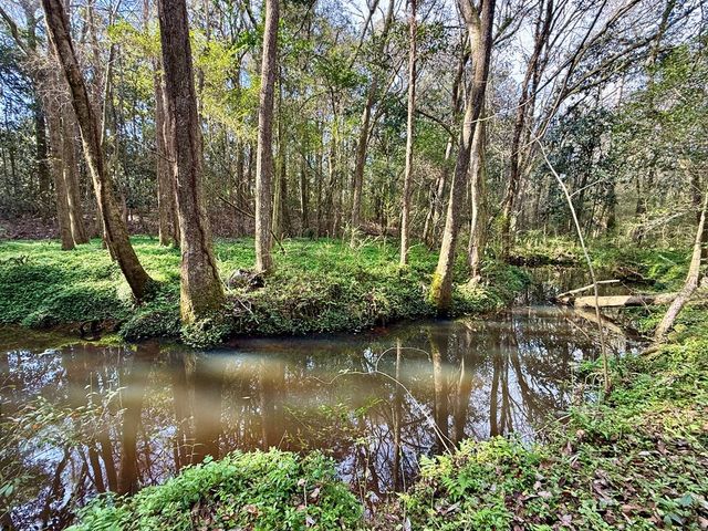 1890 N Co Rd 61, Hartford, AL 36344