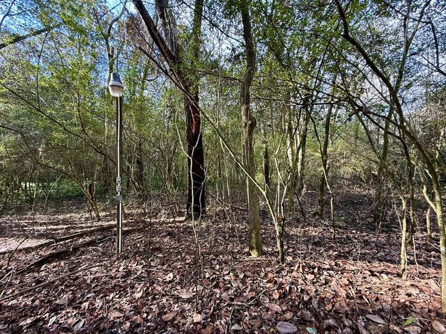 1890 N Co Rd 61, Hartford, AL 36344