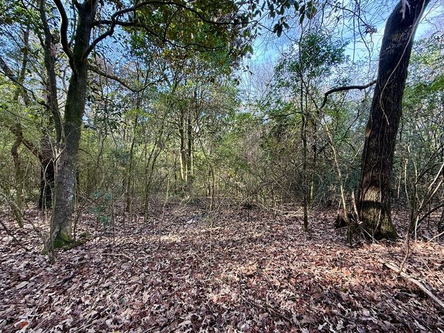 1890 N Co Rd 61, Hartford, AL 36344