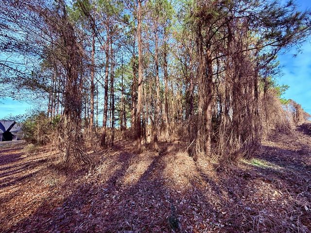 1890 N Co Rd 61, Hartford, AL 36344