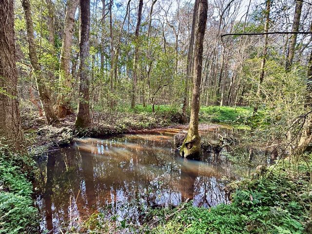 1890 N Co Rd 61, Hartford, AL 36344