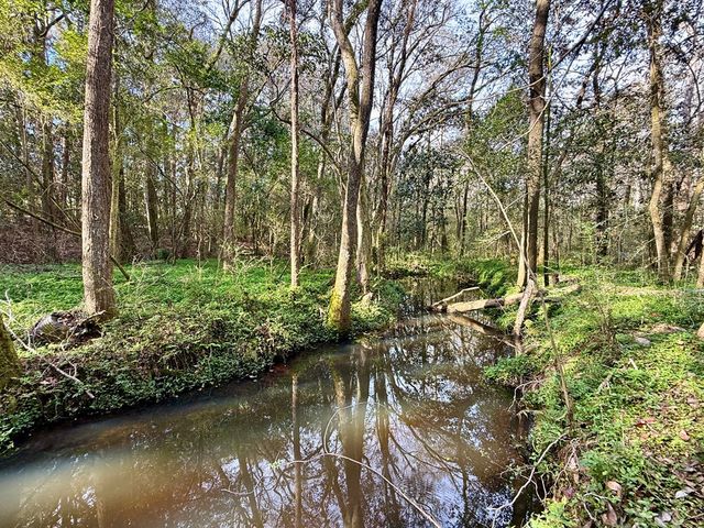 1890 N Co Rd 61, Hartford, AL 36344